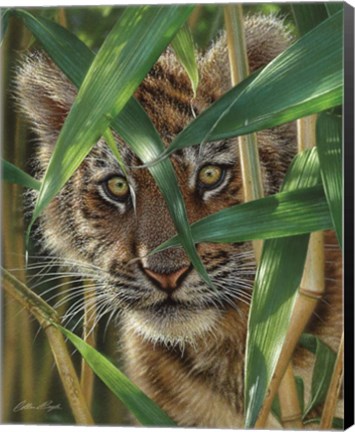 Framed Tiger Cub - Peekaboo Print