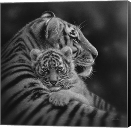 Framed Tiger Mother and Cub - Cherished - B&amp;W Print