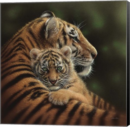 Framed Tiger Mother and Cub - Cherished Print