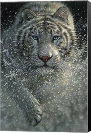 Framed White Tiger - West and Wild Print