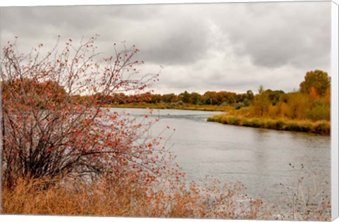 Framed Snake River Autumn II Print