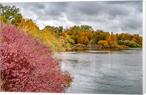 Framed Snake River Autumn IV Print