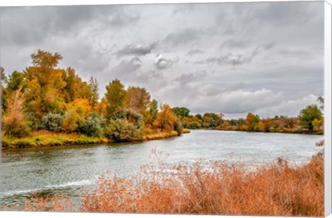 Framed Snake River Autumn V Print