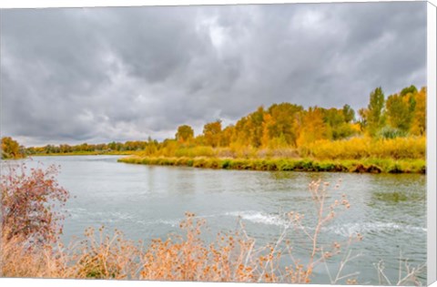 Framed Snake River Autumn VI Print