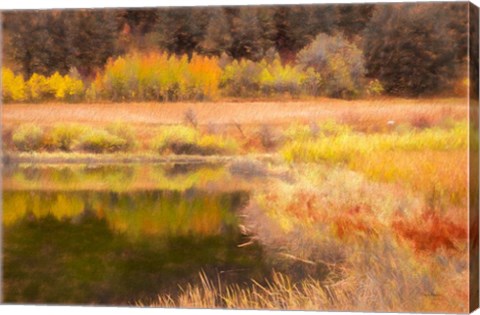 Framed Autumn Pond Print