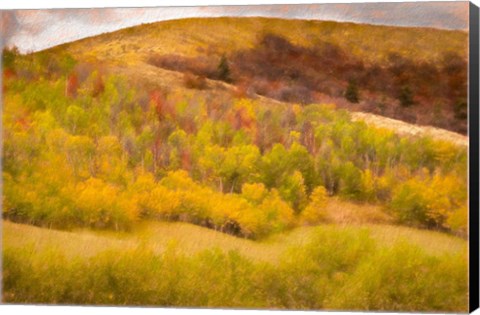 Framed Autumn on the Hill Print