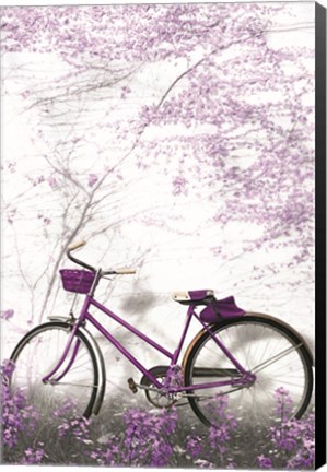 Framed Ultra Violet Bicycle Print