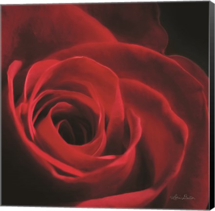 Framed Red Rose I Print