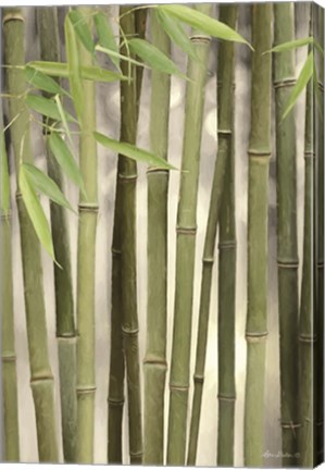 Framed Backlit Bamboo II Print