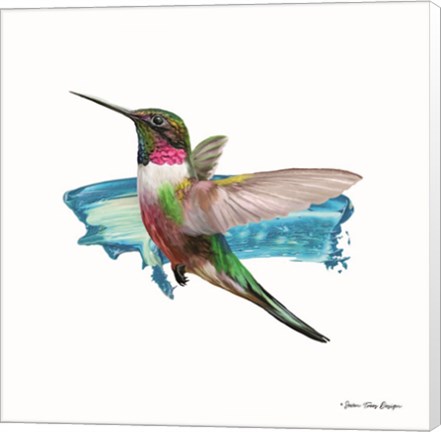 Framed Hummingbird II Print