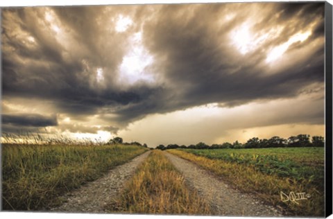 Framed Embrace the Storm II Print