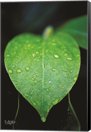 Framed Green Leaf Print