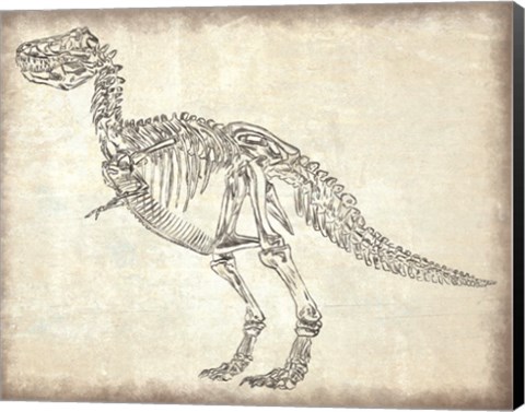 Framed T-Rex Skeleton Print