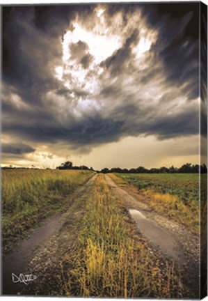 Framed Embrace the Storm I Print