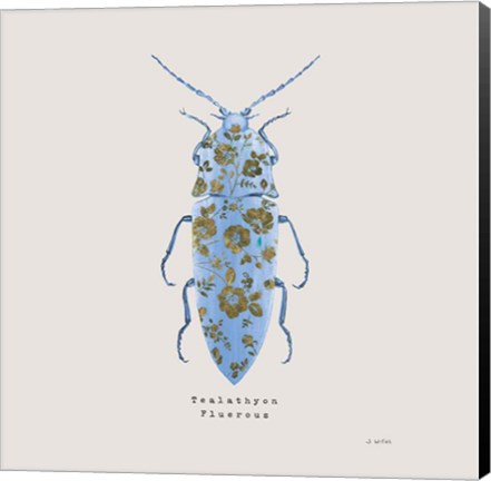 Framed Adorning Coleoptera VIII Sq Blue Print