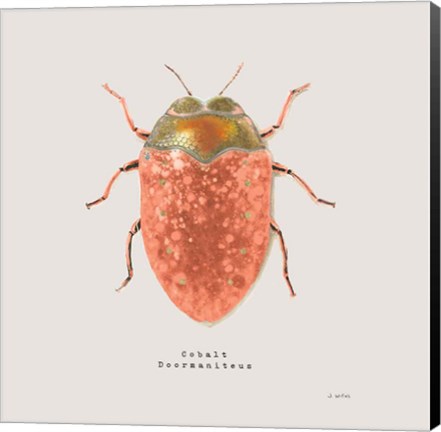 Framed Adorning Coleoptera V Sq Camelia Print