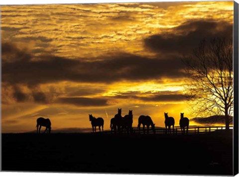 Framed Horses at Sunset Print