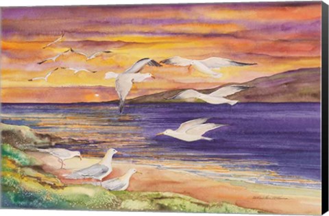 Framed Seagull Sunset Print