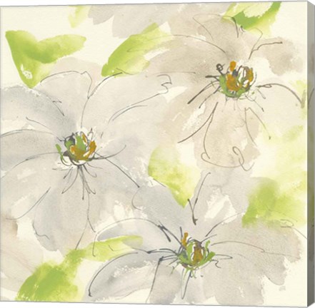 Framed Dancing Clematis II Print