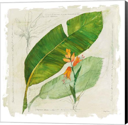 Framed Botanical Study I Light Print