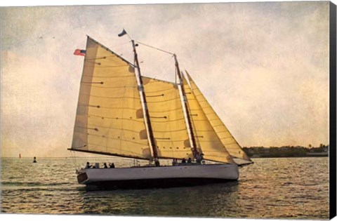 Framed Morning Sail Print