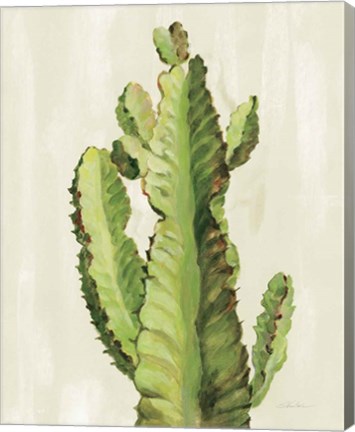 Framed Front Yard Cactus II Print