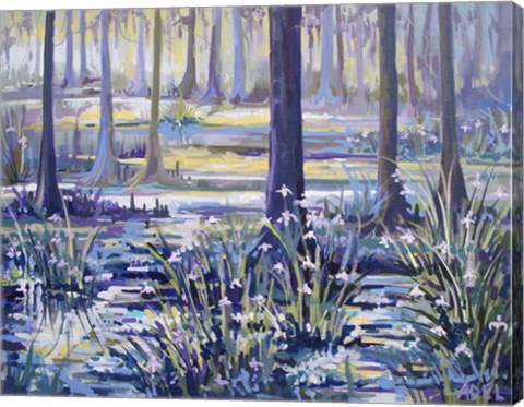 Framed Blue Bayou Swamp Print