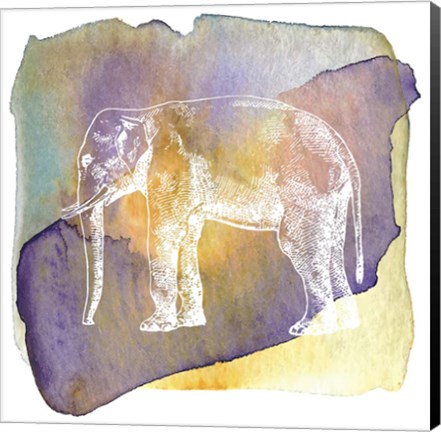 Framed Color Spot Safari Animals Elephant Print