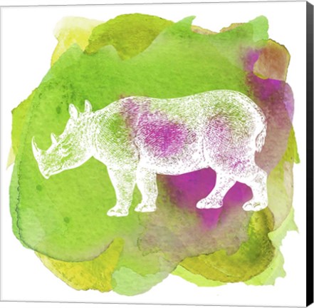 Framed Color Spot Safari Animals Rhino Print