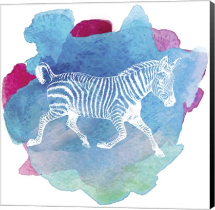 Framed Color Spot Safari Animals Zebra Print
