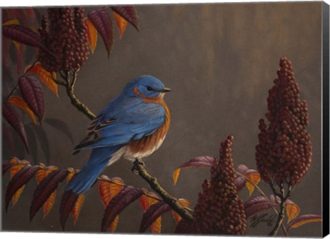 Framed Autumn Bluebird Print