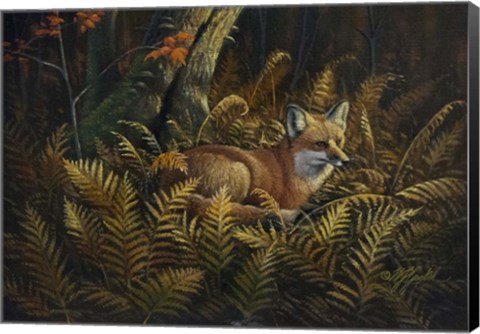 Framed Bed of Ferns Print