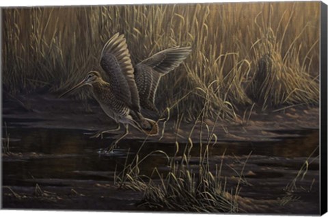 Framed Dropping In Print