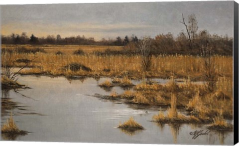 Framed Muskrat Marsh Print