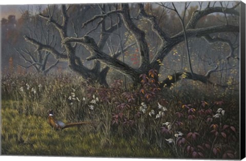 Framed Old Orchard and Pheasant Print