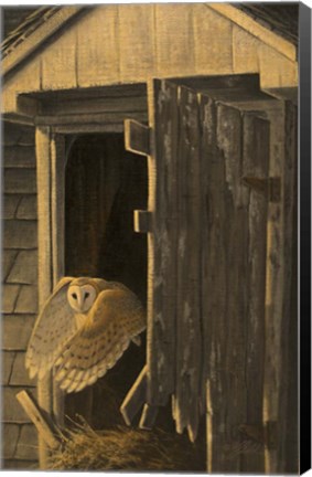 Framed Out of the Darkness - Barn Owl Print