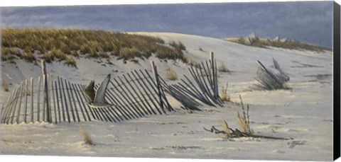 Framed Passage - Peregrine Falcon Print