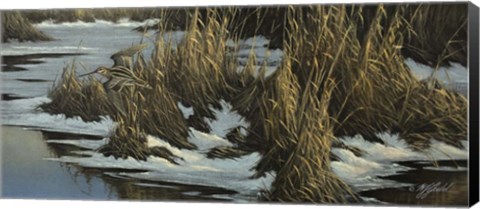 Framed Snipe Flight Print