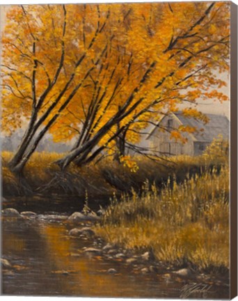 Framed Undercut Bank Print