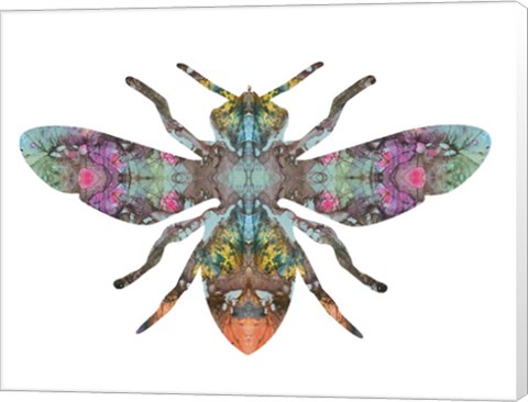 Framed Transverse Bee Print