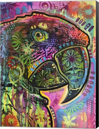 Framed Close Up Parrot Print