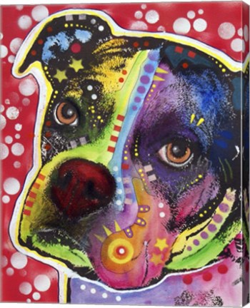 Framed Young Boxer Print