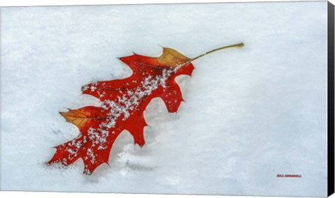 Framed Moment Together Print