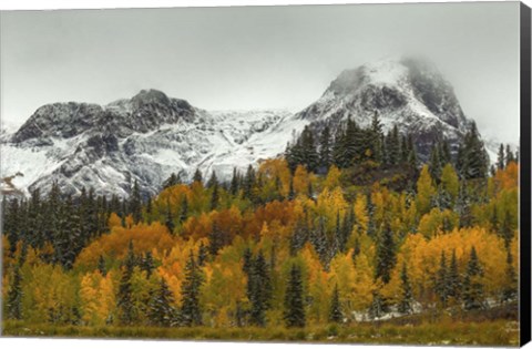 Framed Rocky Mountain Autumn Print