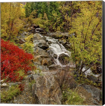 Framed Fall River Print