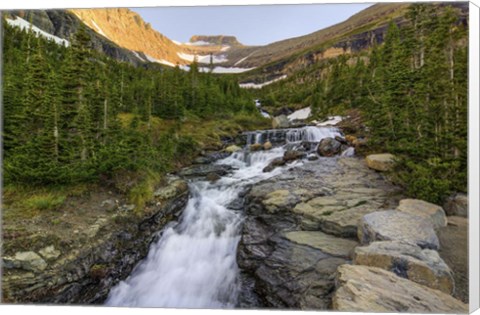 Framed Falling For Beauty Print