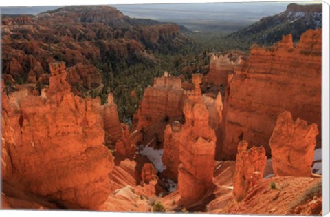 Framed Illumination Print