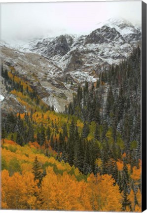 Framed Orange Flames Print