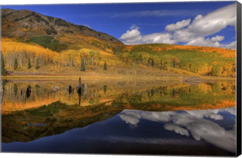 Framed Reflecting On Autumn Print