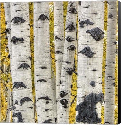 Framed Strength In Numbers Print